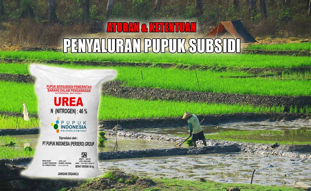 Wajib Berdasarkan e-RDKK, Penyaluran Pupuk Subsidi Untuk Petani Disesuaikan Ketentuan Luas Lahan