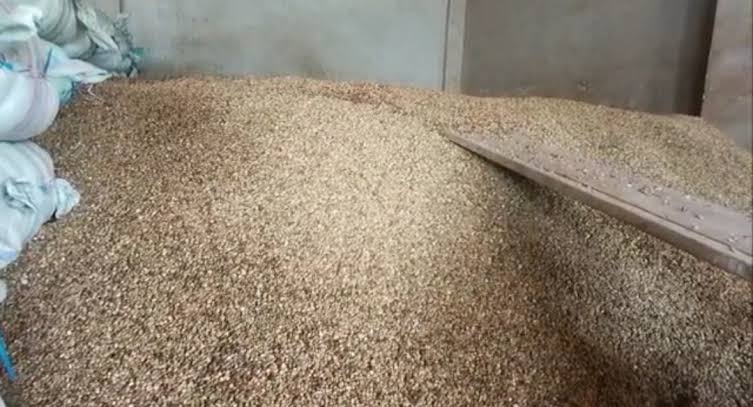 Update Harga Kopi Kepahiang Hari Ini, Turun Banyak!