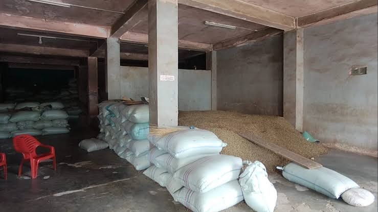 Bukan Hanya Petani, Sanksi Jual Beli Kopi Merah Juga Berlaku Pada Pengepul