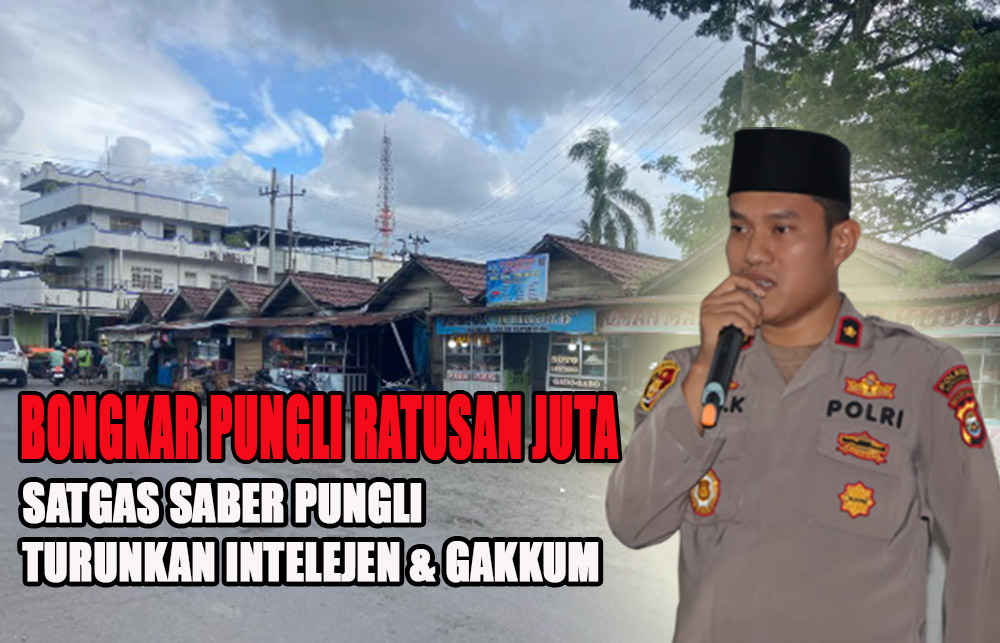 Pungli Ratusan Juta Terbongkar, Satgas Saber Pungli Turunkan Tim Intelejen dan Gakkum