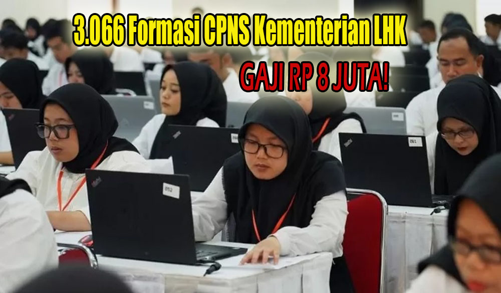 Gaji Sampai Rp 8 Juta, Kini Kementerian LHK Resmi Buka 3.066 Formasi Melalui Seleksi CPNS Tahun 2024