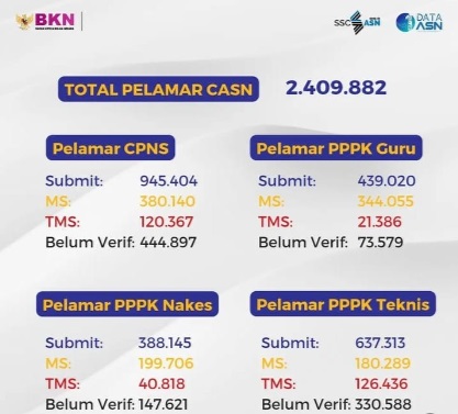 309.007 Peserta CPNS dan PPPK 2023 Masuk Kategori TMS,  Cek Apa Kamu Termasuk?