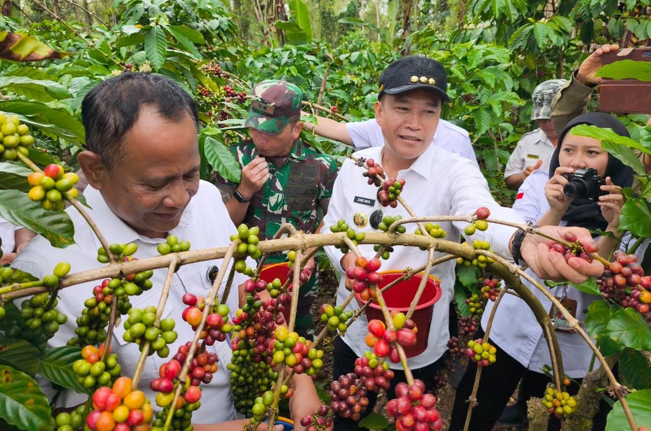Di Depan Staf Presiden, Bupati Kepahiang Promosikan Kopi Kepahiang Langsung dari Bawah Pohonnya