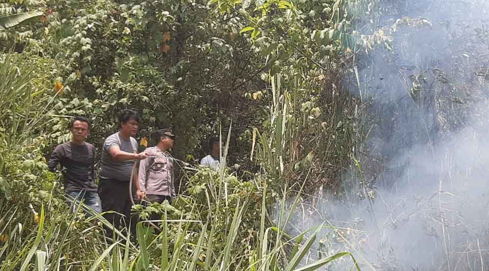 Termasuk 1,3 Hektar Lahan Milik Mantan Bupati Kepahiang, BPBD Catat 10 Kasus Karhutla!