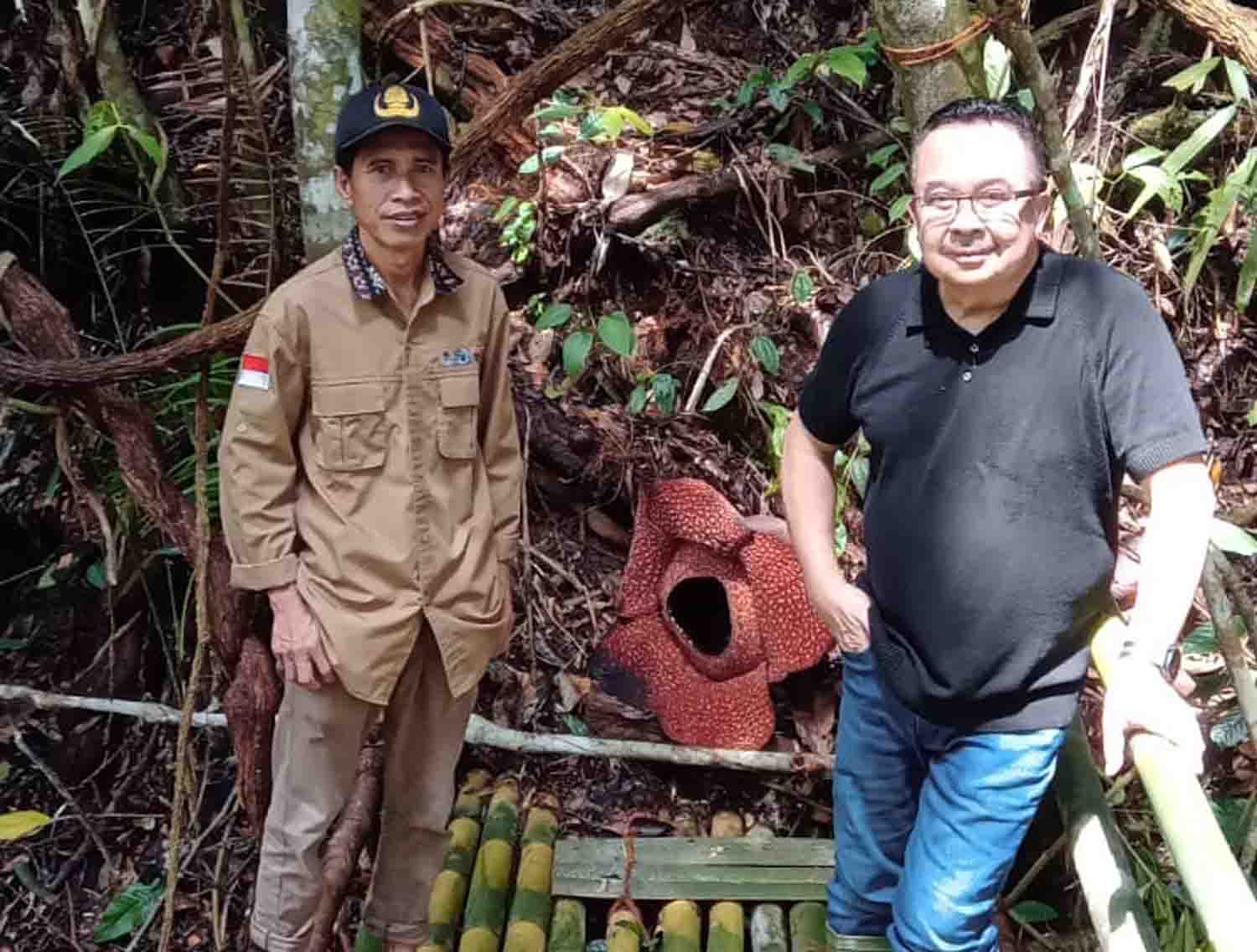 Pesona Bunga Rafflesia, Prof. Rhenaldi Kasali Kunjungi Kepahiang