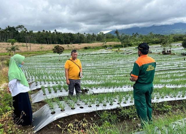 Manfaatkan Lahan Kosong, Dinas Pertanian Sarankan Petani Tanam Komoditi Hortikultura