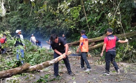 Longsor dan Pohon Tumbang, Arus Kepahiang-Bengkulu Lumpuh Total!