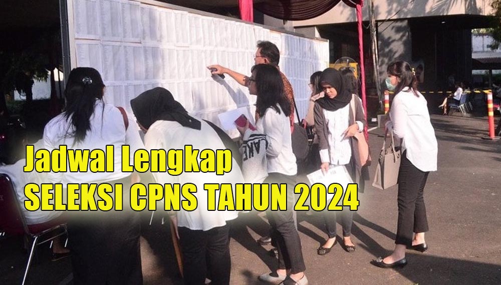 Seleksi CPNS Tahun 2024 Dimulai, Ingat Peserta Hanya Boleh Pilih 1 Instansi dan Jabatan, Cek Jadwal Lengkapnya