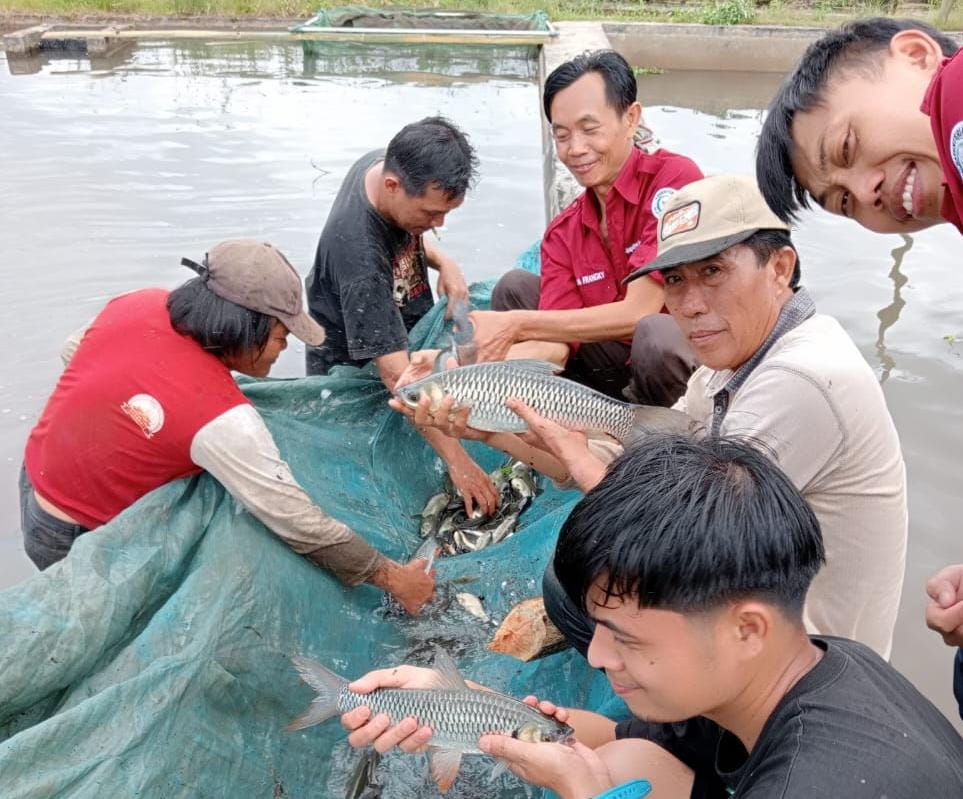 Penghujung 2024, Target PAD BBI DKPP Kepahiang Baru Tercapai 50 Persen