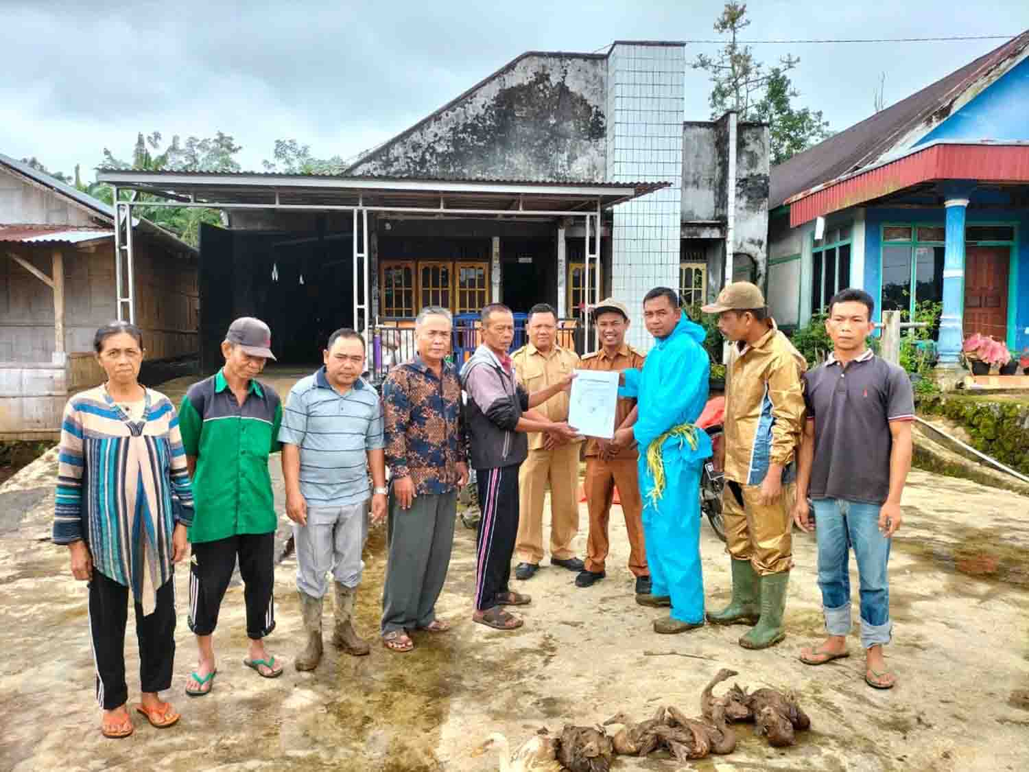 Bagikan Itik Petelur ke 300 Kepala Keluarga