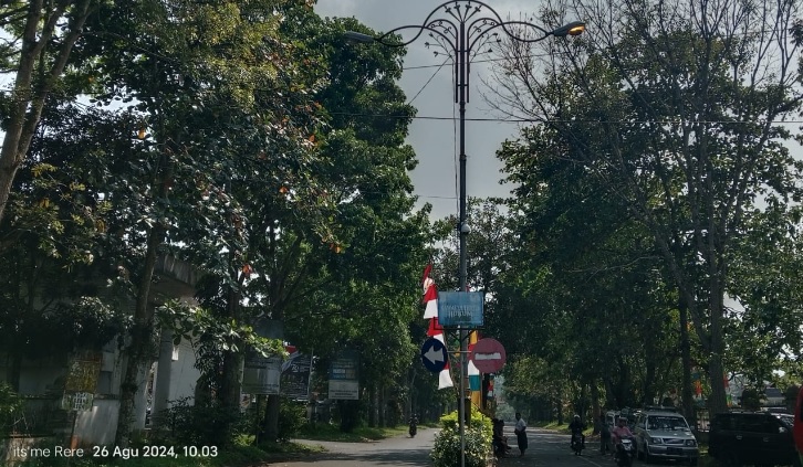 Soal Lampu Jalan Dinas Perhubungan Beralih Gunakan LPJU Tenaga Surya, Lebih Hemat Biaya! 