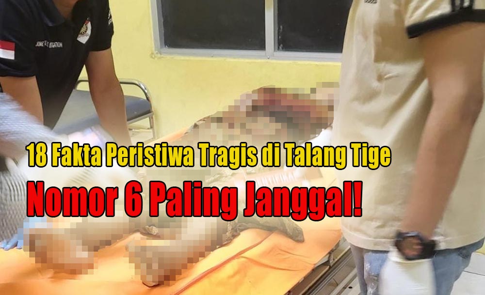 Masih Belum Terungkap, Ini 18 Fakta Menarik Peristiwa Tragis di Talang Tige, Nomor 6 Paling Janggal!