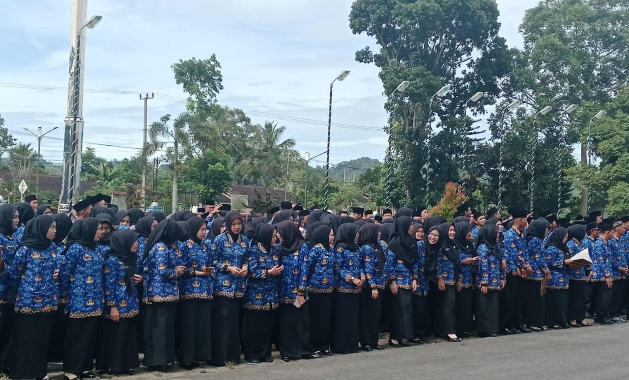 Pemkab Kepahiang Minta Solusi BKN, Masih Banyak Honorer Dalam Pangkalan Database BKN!