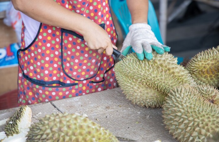 Bisakah Mengecek Kematangan Buah Durian Hanya Dengan Cara Mengetuk, Ini Faktanya!