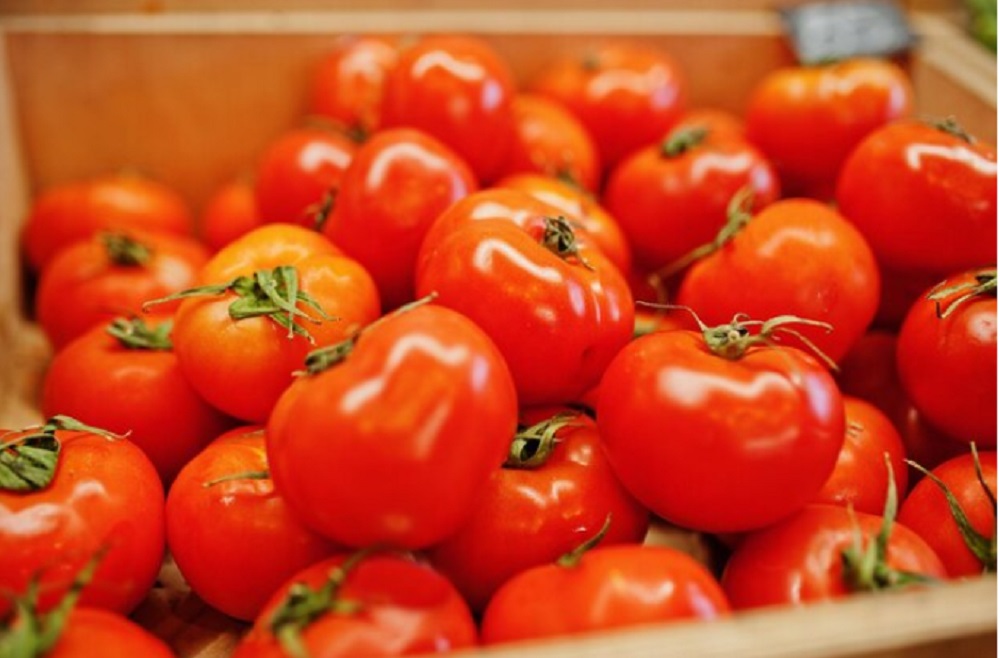 Ada 10 Manfaat Buah Tomat Untuk Kesehatan, Cek Daftarnya di Sini!