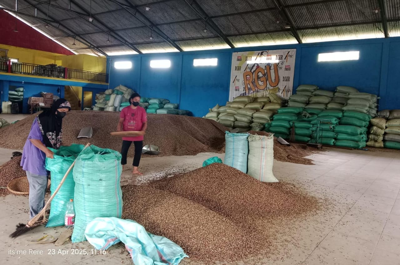 Dalam Sepekan Harga Kopi Turun 2 Kali, Segini Harga Kopi Saat Ini!