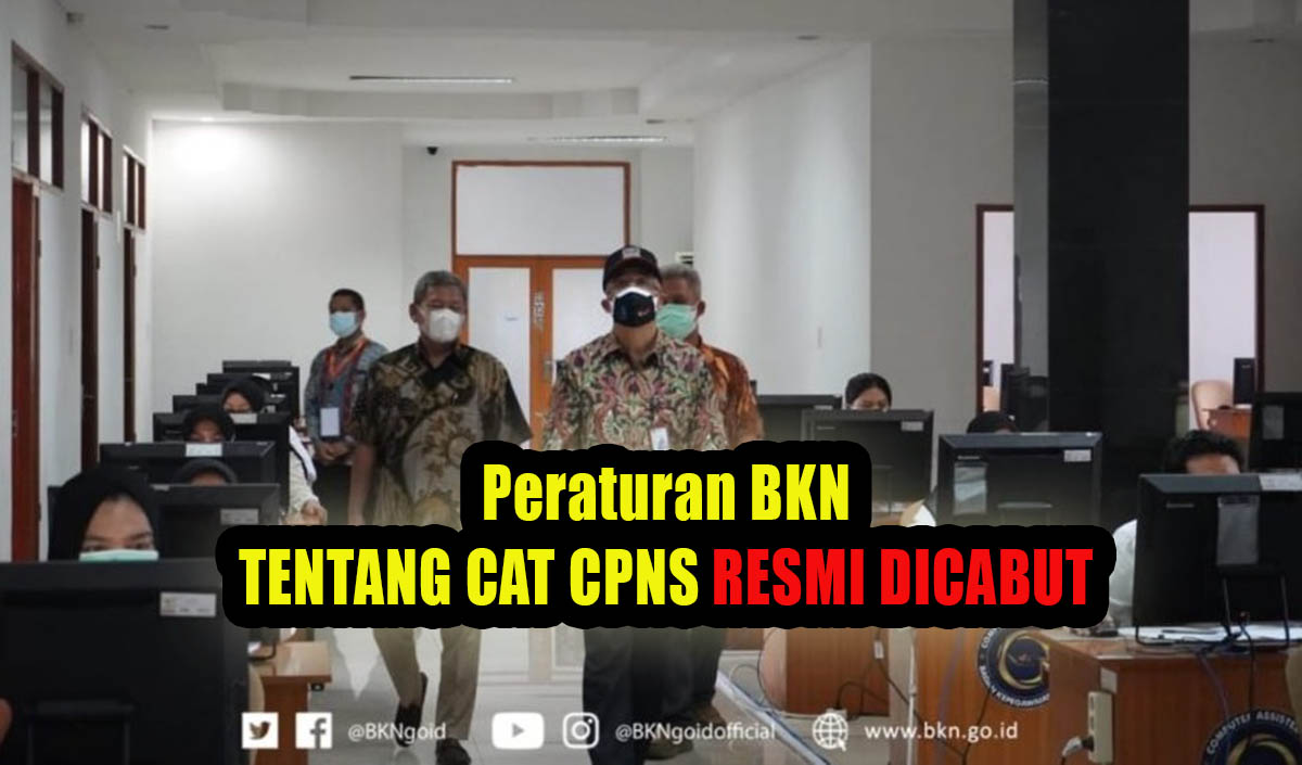 Benarkah Peraturan BKN Tentang CAT Seleksi CPNS Resmi Dicabut Pemerintah!