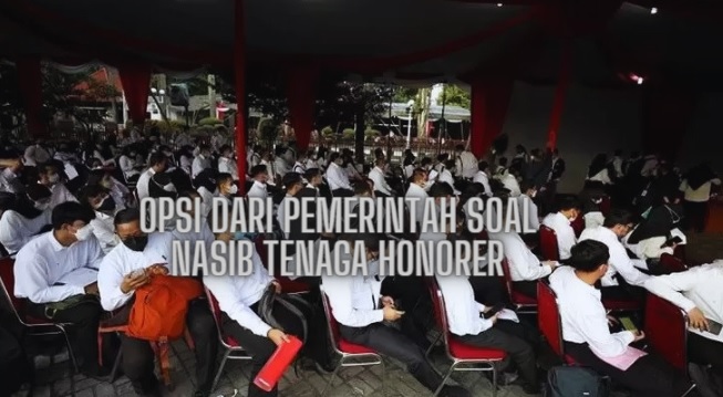 Tenaga Honorer Jangan Khawatir, Ini 3 Opsi Yang Menjadi Penentu Nasib Tenaga Honorer