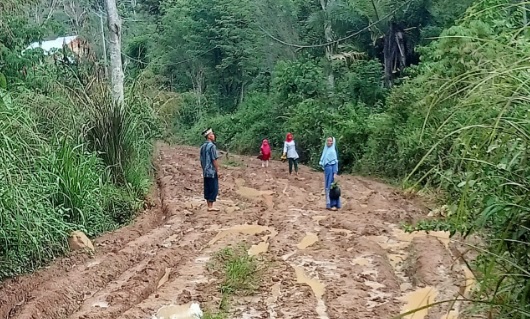 APBD Tidak Mampu, Pembangunan Jalan Langgar Jaya Membutuhkan Anggaran yang Besar