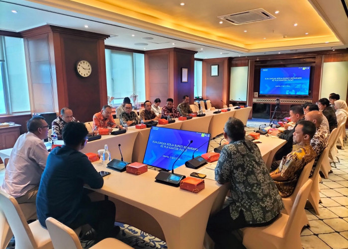 Tindaklanjut Proyek Panas Bumi, Bupati Kepahiang Kunker ke PLN Pusat