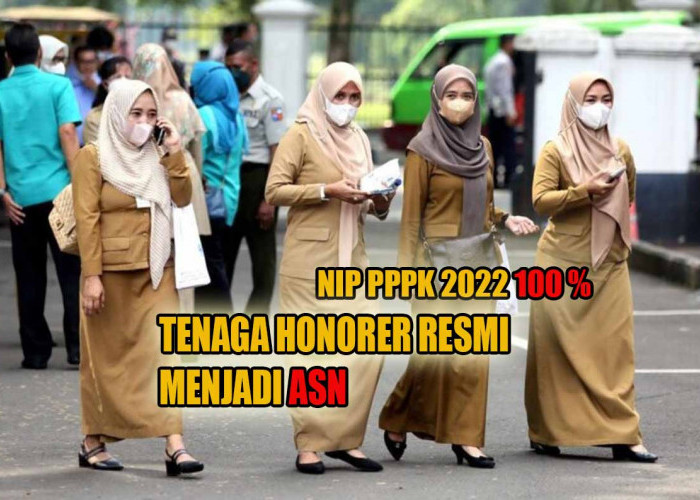 Penetapan NIP PPPK 2022 100 Persen, Tenaga Honorer Dalam Wilayah Kanreg BKN Ini Resmi Menjadi ASN!