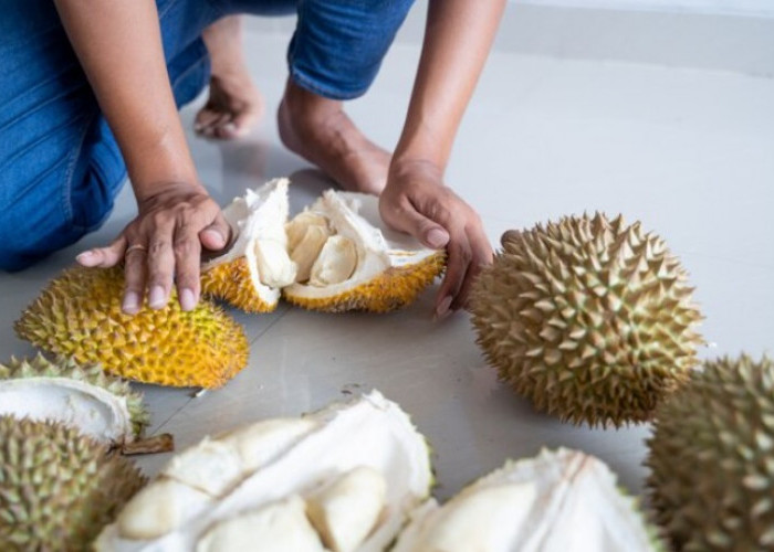 Buah Durian Jangan Dikombinasikan, Berikut Ini 8 Pantangan Setelah Mengkonsumsi Buah Durian