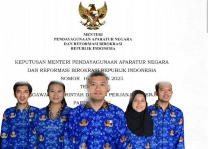 Percepatan Penataan Tenaga Honorer Jadi PPPK, Pemerintah Terbitkan 6 Regulasi Baru