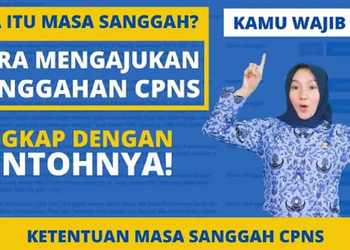 Wajib Cermati! Ini Kesalahan Peserta Seleksi CPNS dan PPPK 2023 Saat Proses Sanggah Hasil Seleksi Administrasi