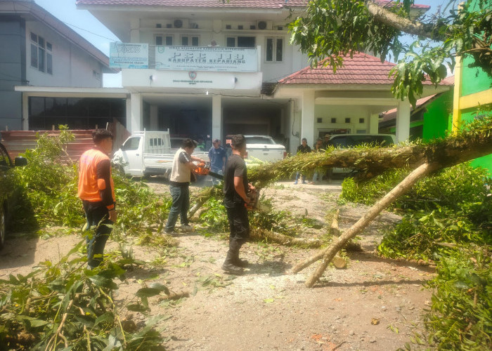 52 Bencana Terjadi di Kepahiang Tahun Ini, Ada Korban Jiwa?