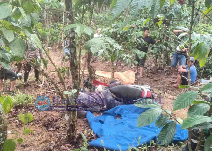 BREAKING NEWS: Petani Asal Padang lekat Ditemukan Tewas di Kebun Kopi
