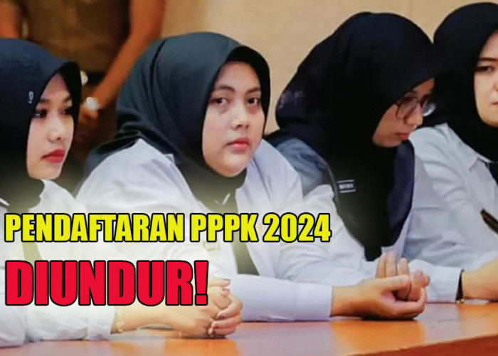 Pembukaan Seleksi PPPK Tahun 2024 Diundur, Berikut Ini Cara Mudah Membuat Akun SSCASN