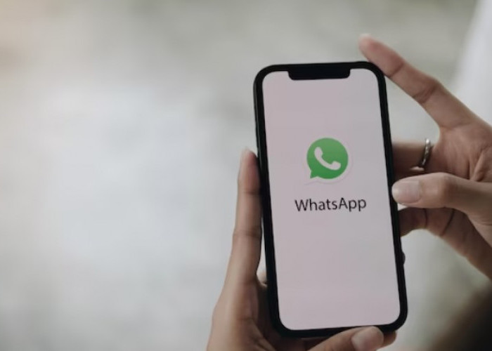 WhatsApp Menambah Fitur Kontrol Pemutaran Video yang Lebih Mudah, Begini Jadinya!