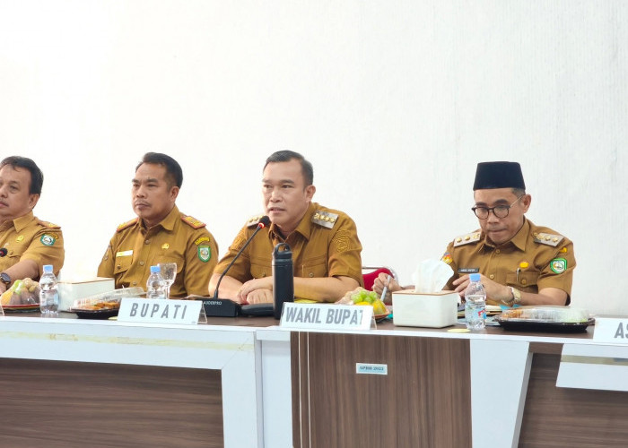 Hasil Audiensi dengan Kemenhut, Selangkah Lagi Aset Lahan Puncak Mall Milik Kepahiang