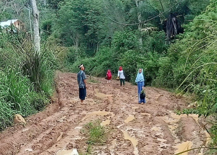 Soal Jalan Langgar Jaya - Damar Kencana, Pemkab Kepahiang Upayakan Sampai ke Pusat