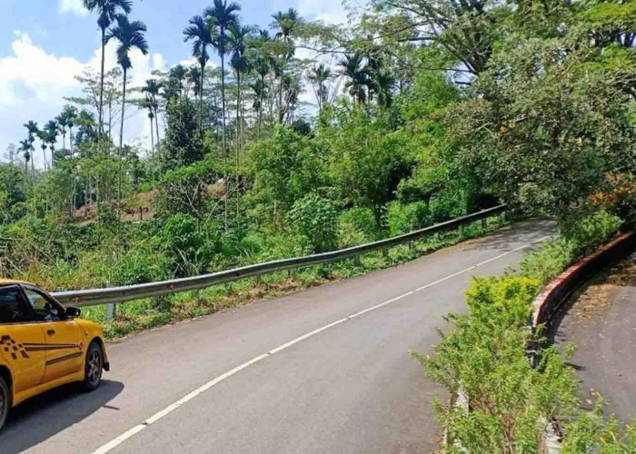 Ada 3 Lahan Kosong Bisa Dimanfaatkan untuk Membangun Kantor OPD