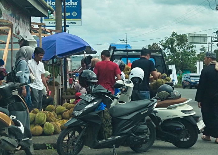 Musim Durian Tiba, Lagi-Lagi Trotoar Jalan Jadi Incaran Pedagang