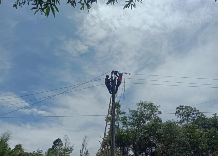 Dampak Gangguan Transmisi SUTT 275 Kv, 1 Gardu Penyulang di Provinsi Bengkulu Masih Belum Normal