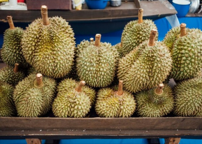Tidak Harus Dibuka, Ini Tips dan Trik Memilih Durian Matang dan Manis Hanya dari Luarnya