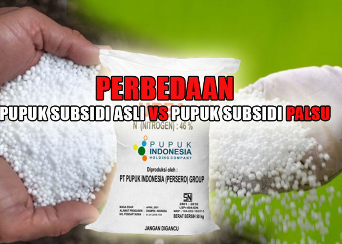 Petani Wajib Tahu, Ini Perbedaan Pupuk Subsidi Asli dan Pupuk Subsidi Palsu