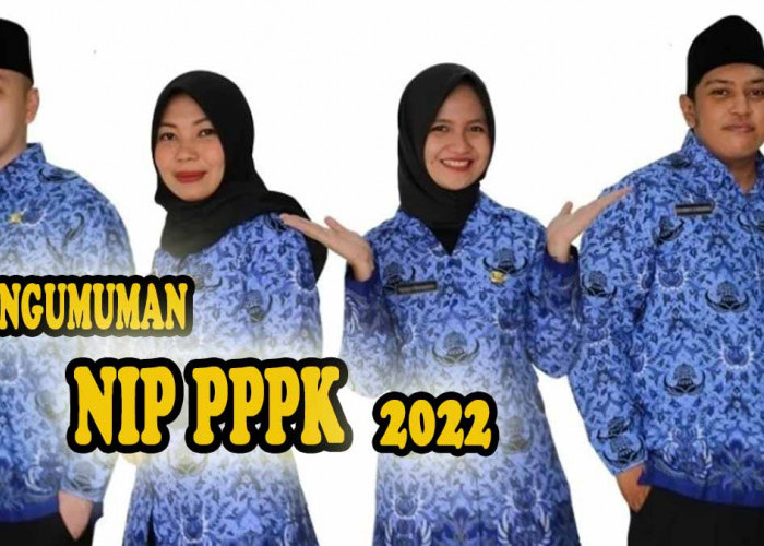 Pengumuman Terbaru NIP PPPK Tahun 2022 di 30 Daerah, Total 5.747 NIP PPPK Sudah ACC!