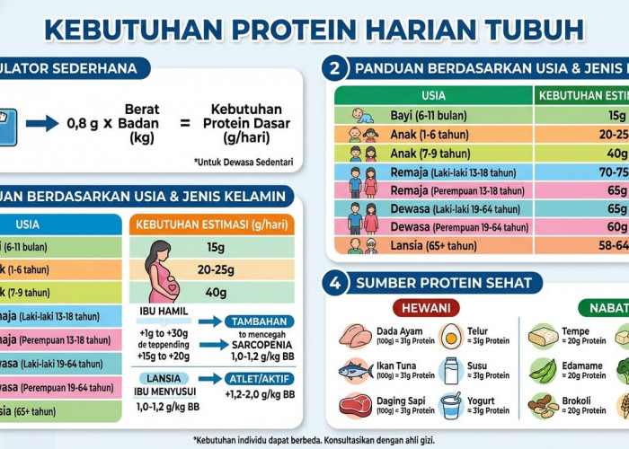 Wajib Tahu, Berapa Protein yang Dibutuhkan Tubuh Tiap Hari!