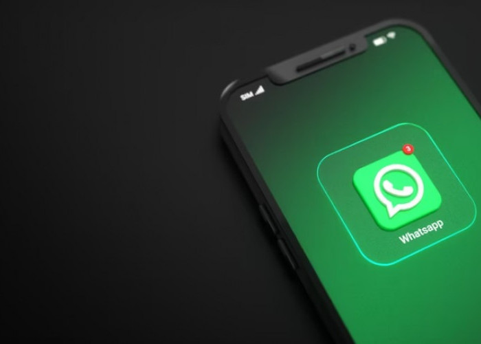 Cara Mudah Download Story WA atau WhatsApp di Smartphone