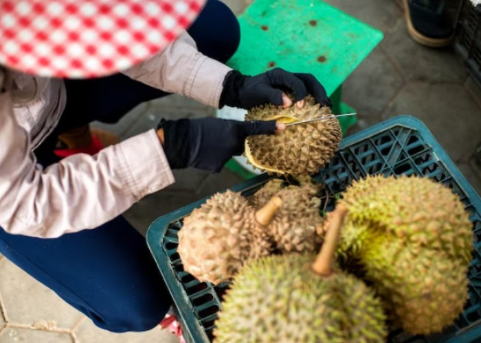 Bikin Pusing Kepala, 8 Tips Ampuh Ini Mampu Menghilangkan Bau Menyengat Durian Dalam Mobil