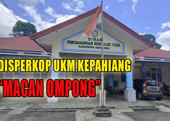 Soal Pelanggaran Penjualan Gas Elpiji Subsidi, Disperkop UKM Kepahiang Jadi 'Macan Ompong'