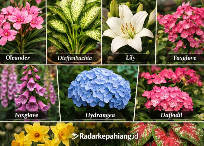 Waspada 7 Bunga Hiasan Rumah yang Cantik Ini Ternyata Beracun dan Berbahaya!