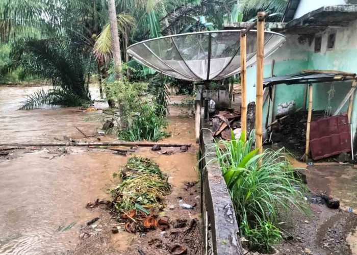 Banjir Bandang Renggut 2 Ha Sawah dan Ratusan Ekor Ternak