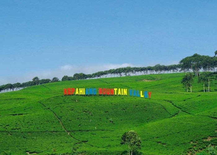 Antisipasi Macet Tahun Baru, Jalur One Way Diberlakukan Menuju Destinasi Wisata Kabawetan