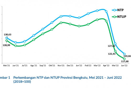  NTP Bengkulu Turun 5,01 Persen