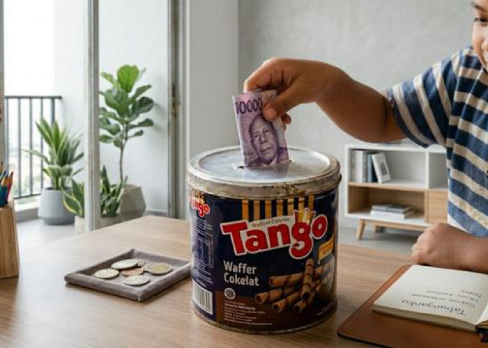 Kaleng Bekas Biskuit Bisa Dimanfaatkan, Ini 5 Inspirasinya