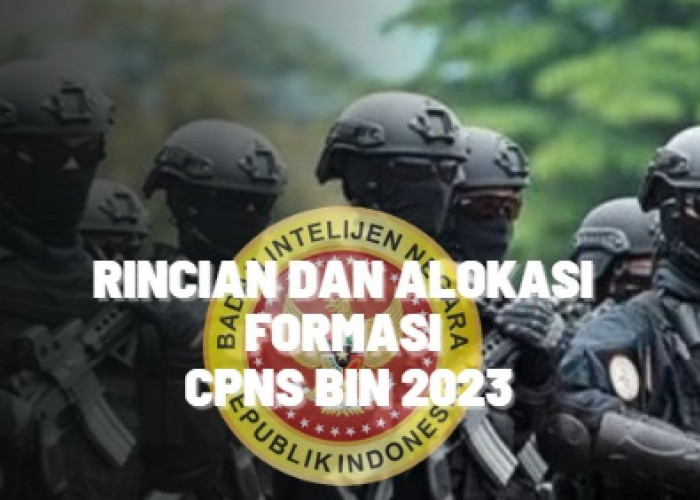 Pendaftaran CPNS Badan Intelijen, Berikut Ini Rincian dan Alokasi Formasi CPNS BIN 2023